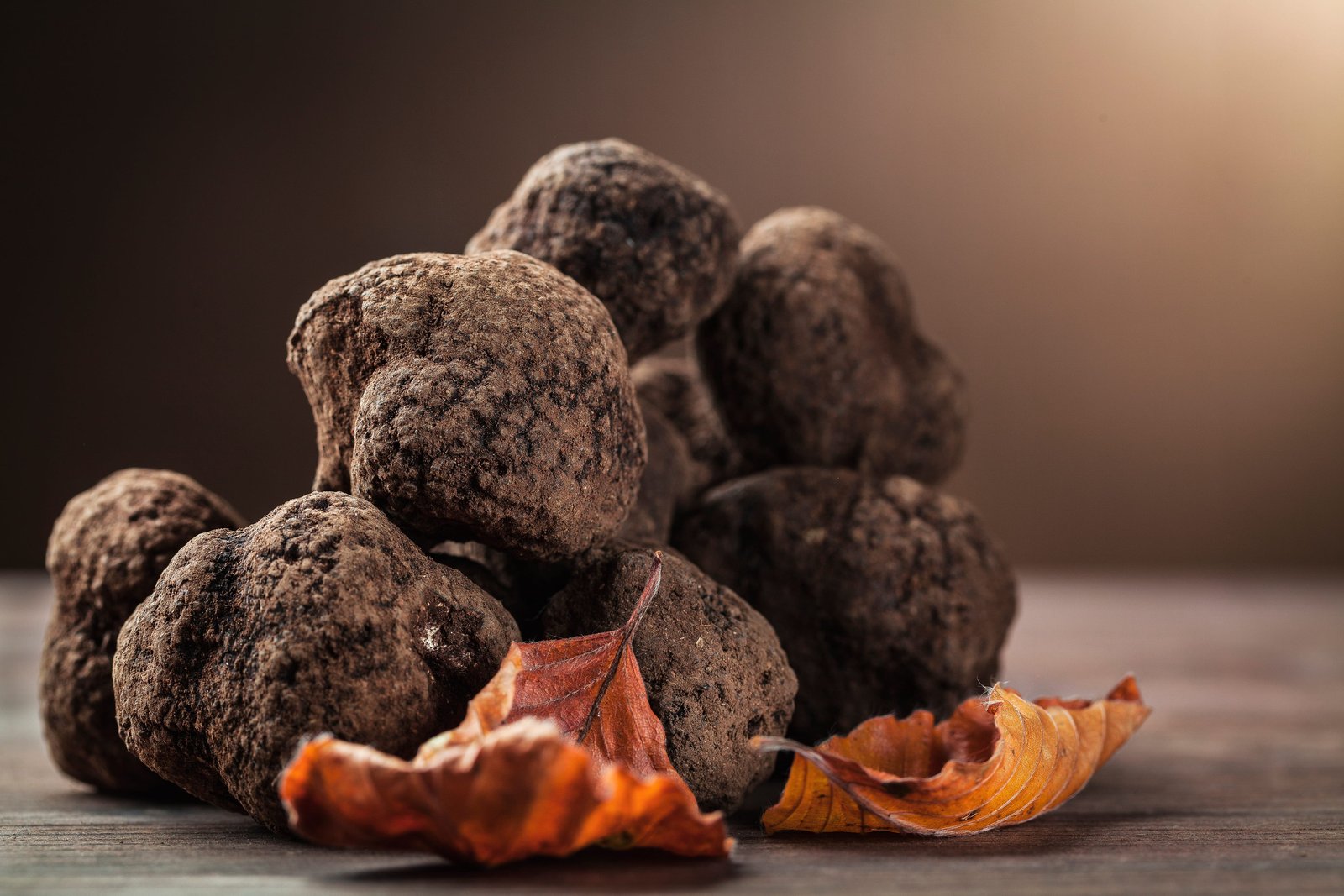 Tartufi neri Ugolini Gourmet